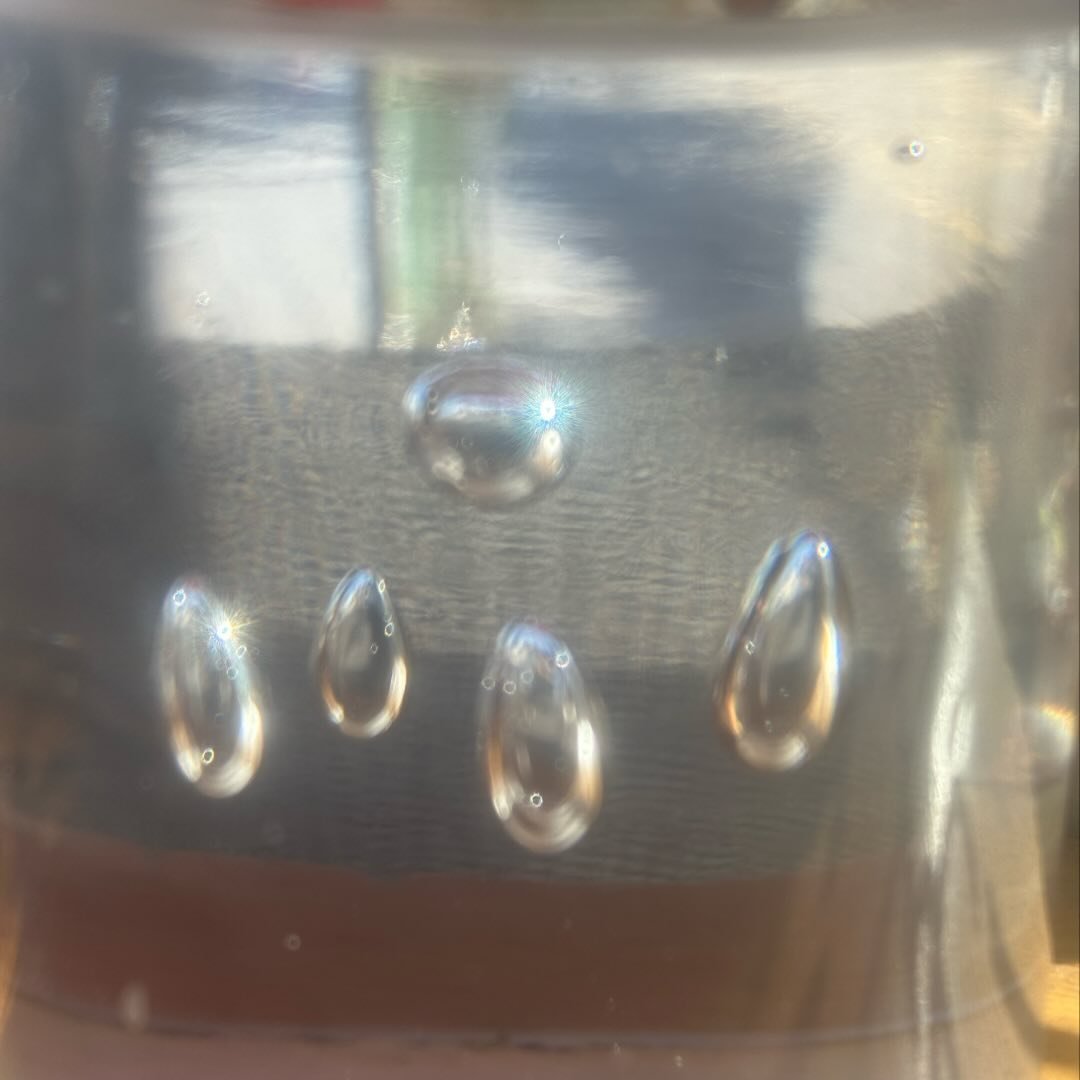 Photo of Jackson Tito Jenkins