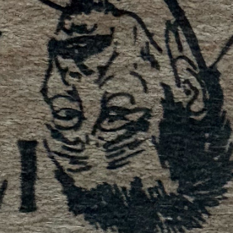 Photo of Wyatt Dorman