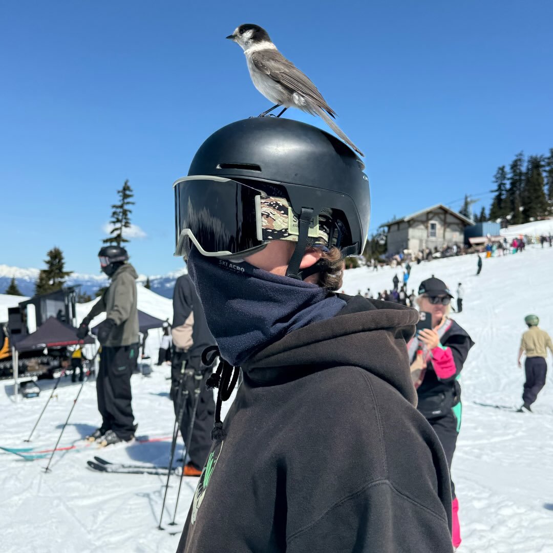 Photo of Nathan Barriault