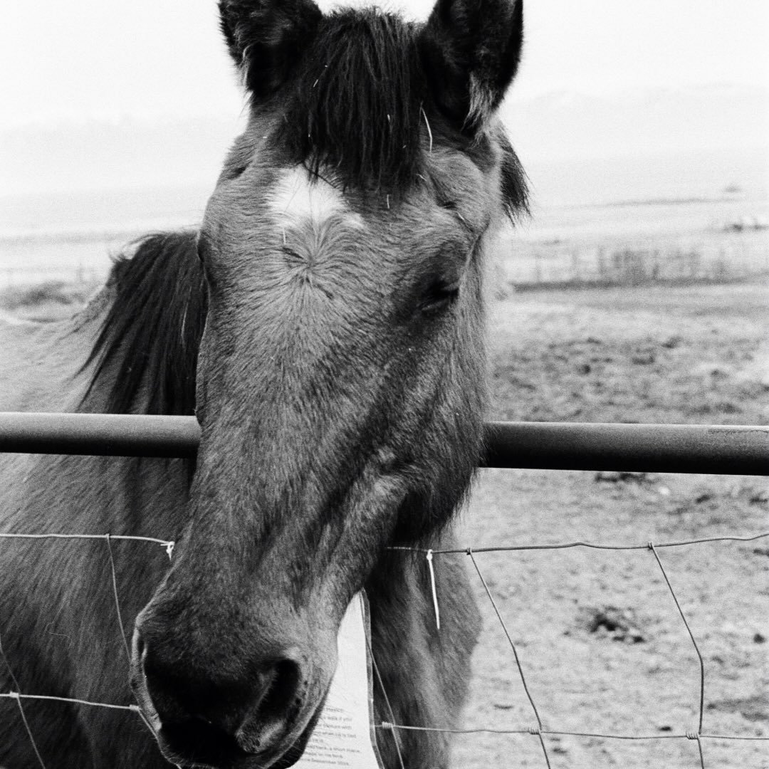 Photo of Colby Johnson