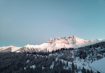 Logo de Dents du Midi
