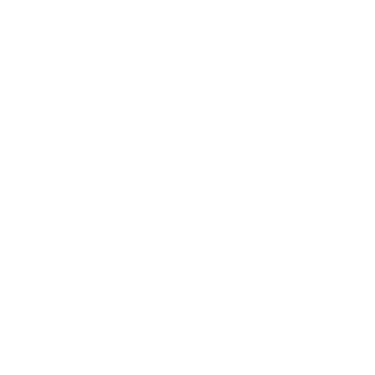 Logo de Bungee Breakers