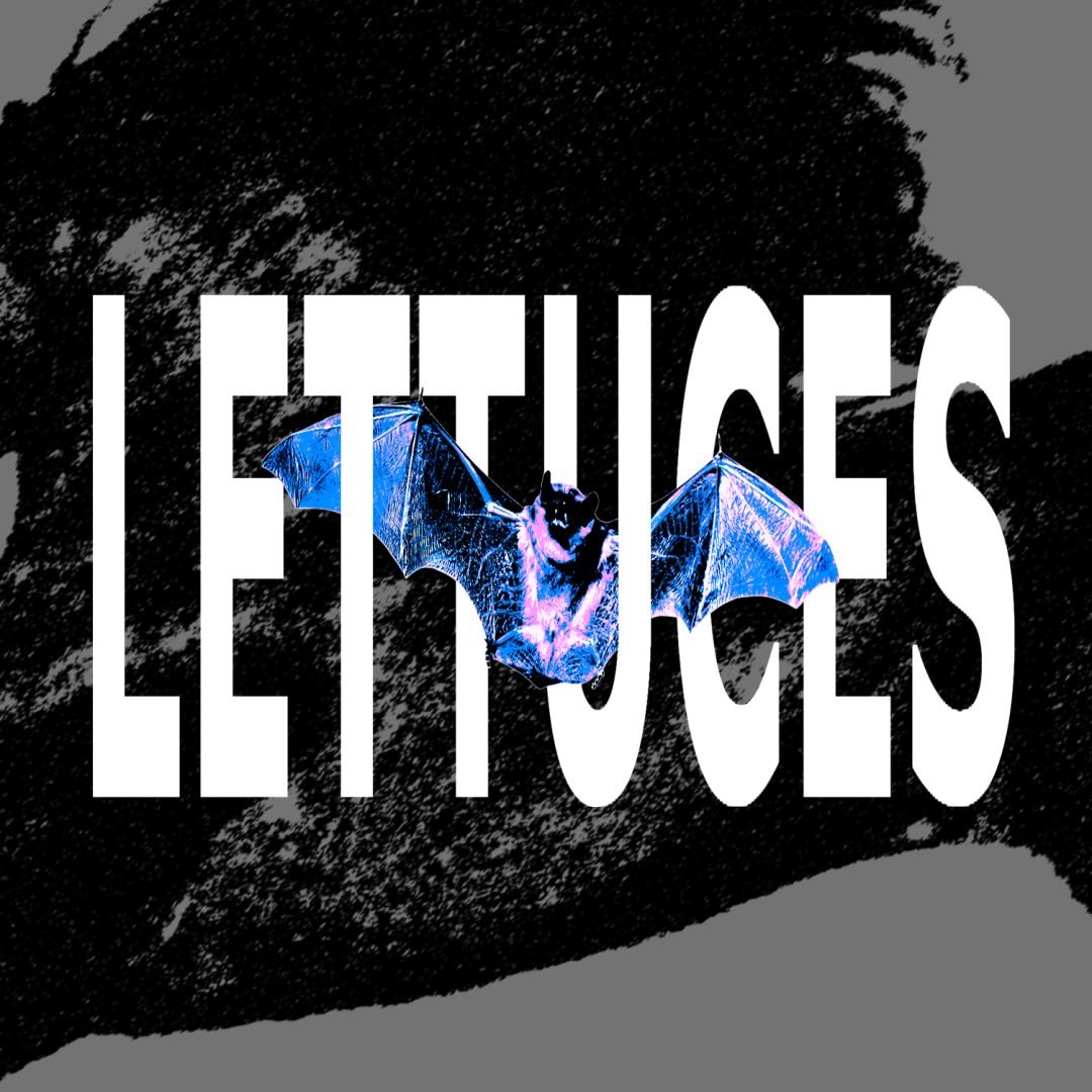 Logo de Lettuces